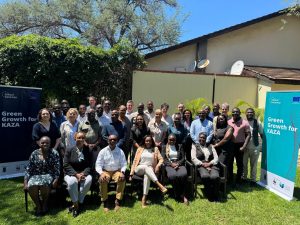Read more about the article Workshop NaturaAfrica KAZA – FIND II reforça compromisso com a Economia Verde em Livingstone