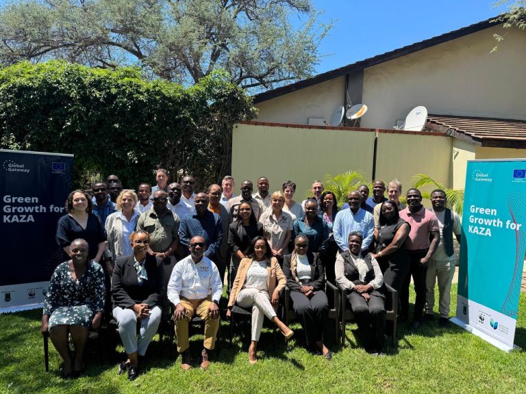 Imagem WhatsApp 2025-12-01 às 15.45